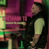 Siavash Palahang Cheshami To