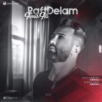 AmirAli Raft Delam