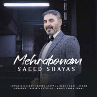 Saeed Shayas Mehraboonam