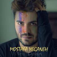 Mostafa Yeganeh Mire Delam