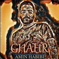 Amin Habibi Ghahr