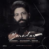 Masoud Jalilian Baradar