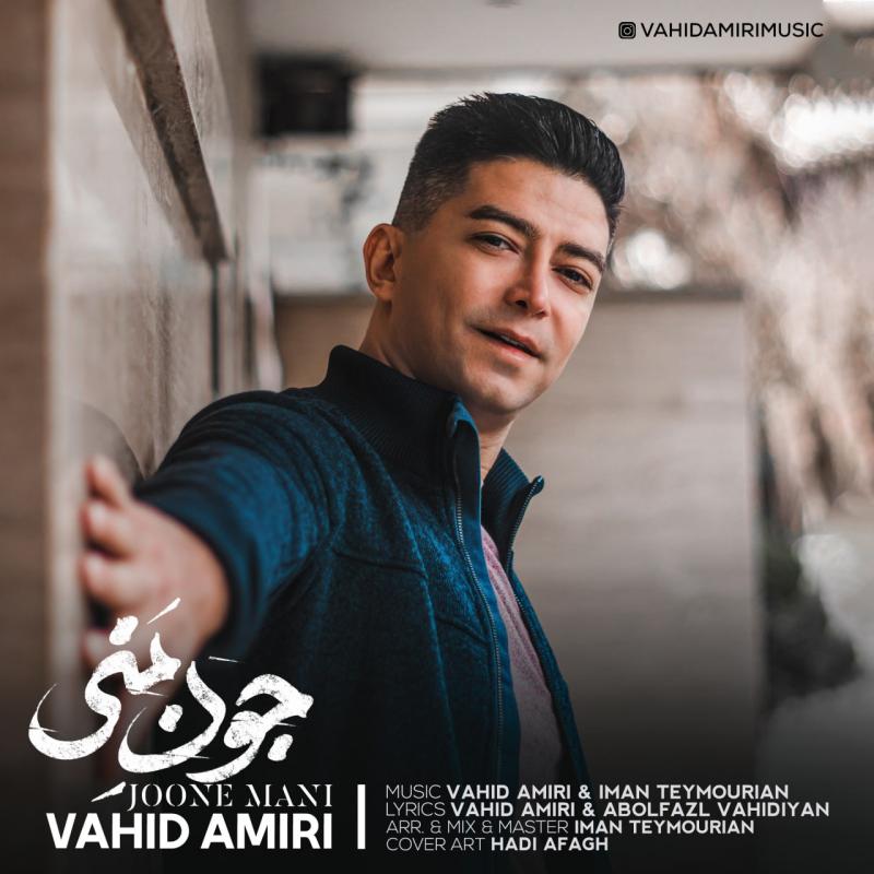 Vahid Amiri Joone Mani