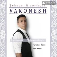 Behnam Alamshahi Vakonesh