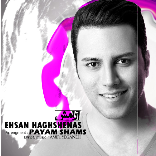 Ehsan Haghshenas Aramesh