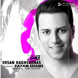 Ehsan Haghshenas Aramesh