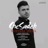 Mojtaba Shoja Che Sadeh