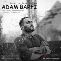 Shahin Shahrokh Adam Barfi