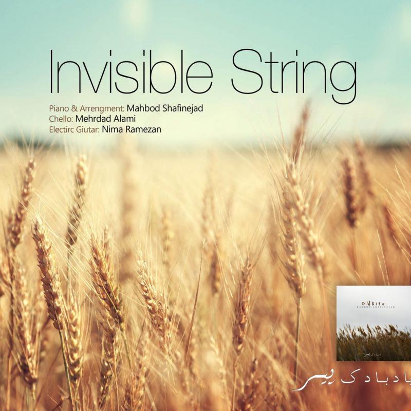 Mahbod Shafinejad Invisible String