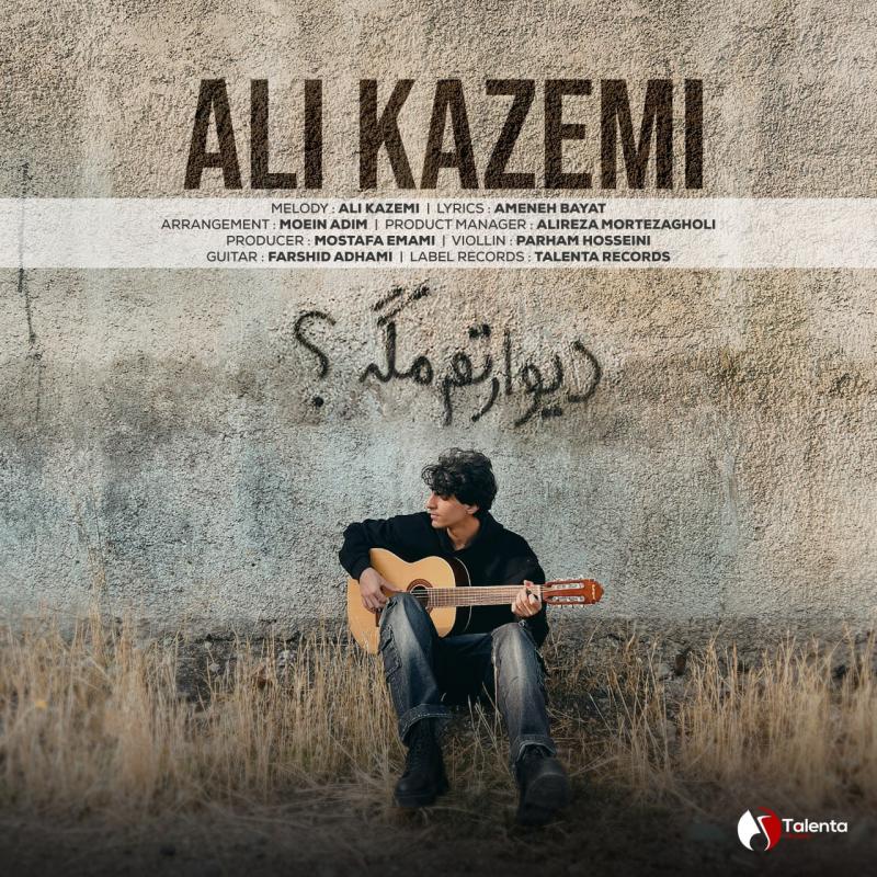Ali Kazemi Divaretam Mage