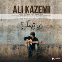 Ali Kazemi Divaretam Mage