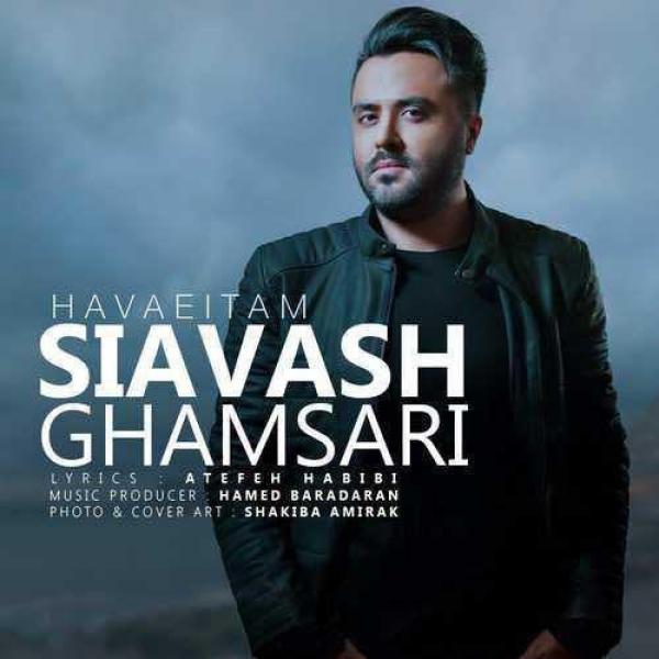 Siavash Ghamsari Havaeitam