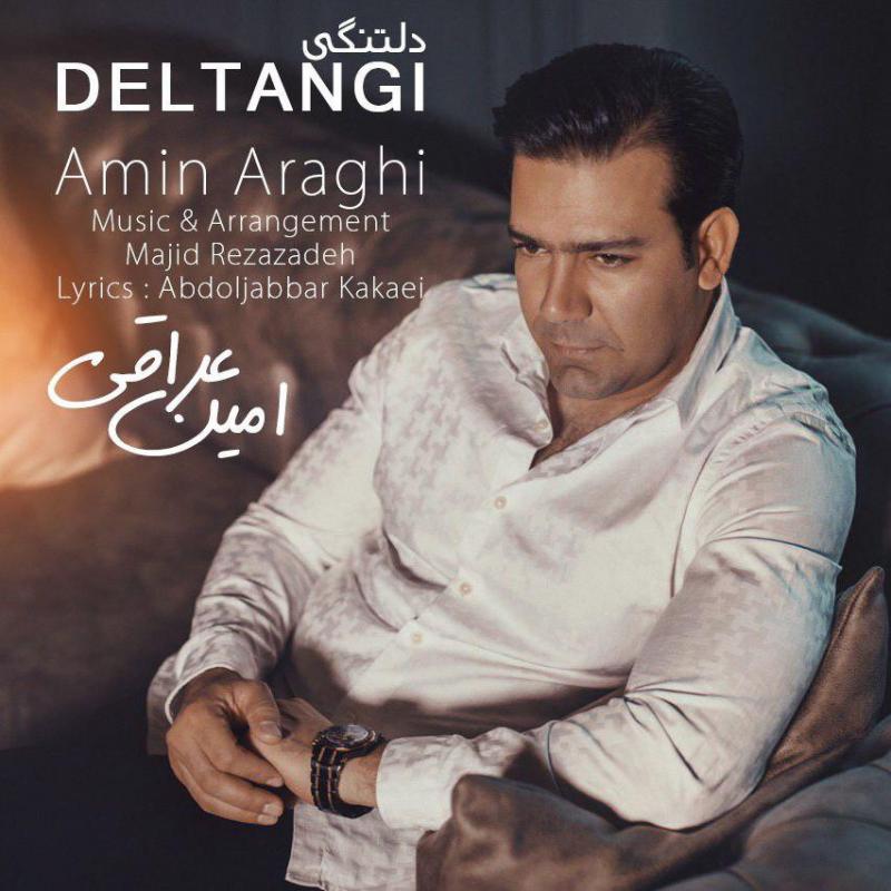 Amin Araghi Deltangi