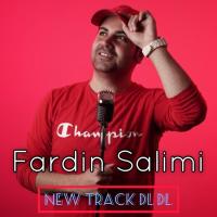 Fardin Salimi Dl Dl
