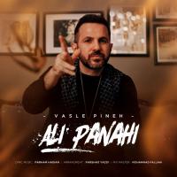 Ali Panahi Vasle Pineh