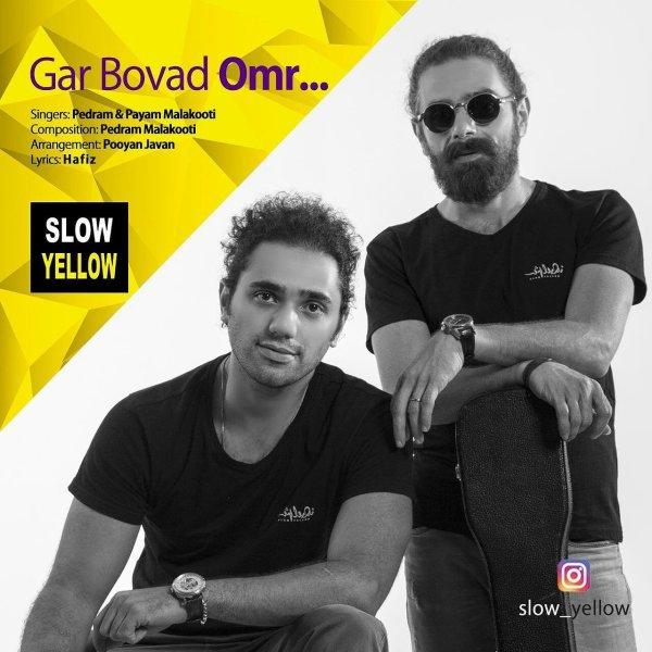 Slow Yellow Gar Bovad Omr