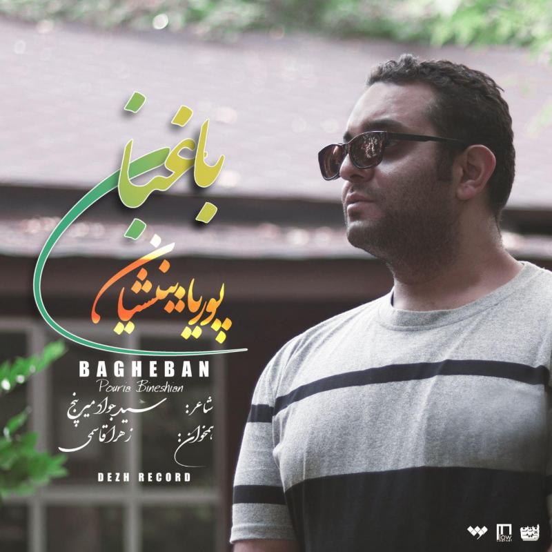 Pouriya Bineshiyan Bagheban