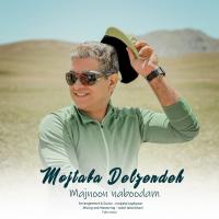 Mojtaba Delzendeh Majnoon Naboodam