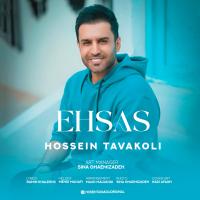 Hossein Tavakoli Ehsas