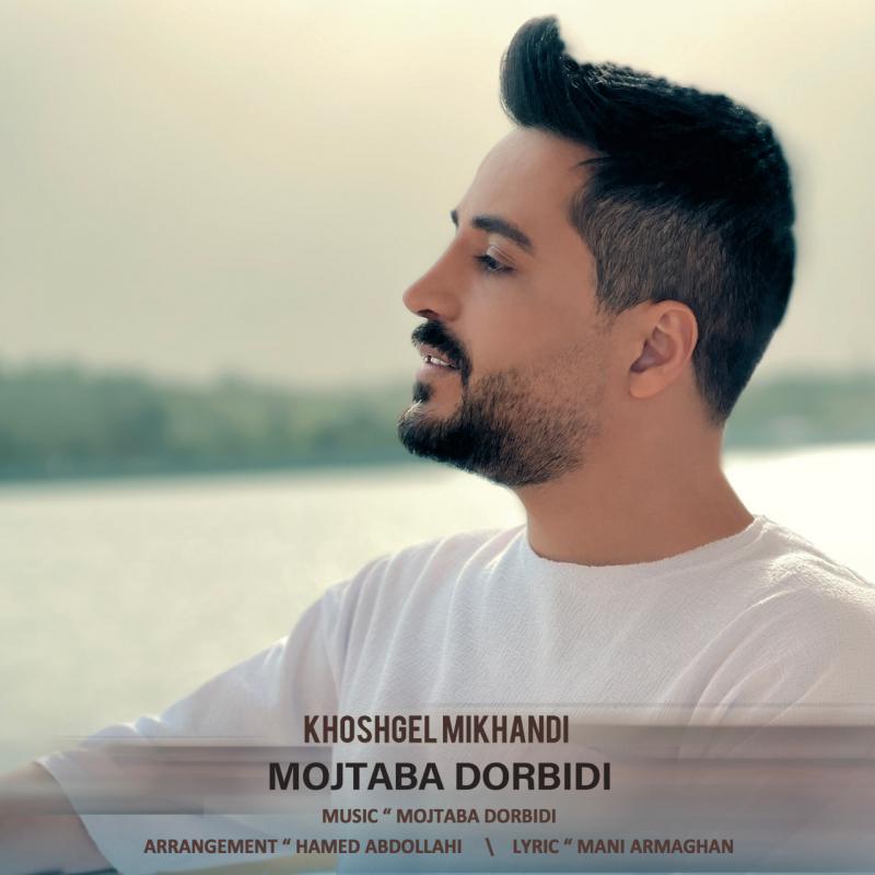 Mojtaba Dorbidi Khoshgel Mikhandi