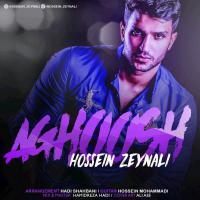 Hossein Zeynali Aghoosh