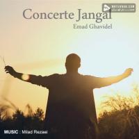 Emad Ghavidel Concerte Jangal