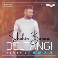 Shahin Banan Deltangi (Amzh Remix)