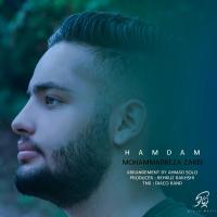 Mohammadreza Zarei Hamdam