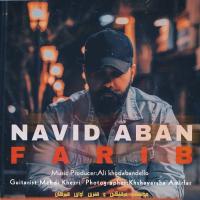 Navid Aban Farib