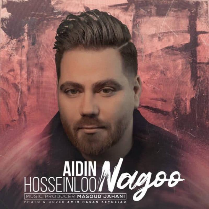 Aidin Hosseinloo Nagoo