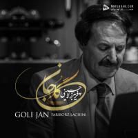 Fariborz Lachini Goli Jan