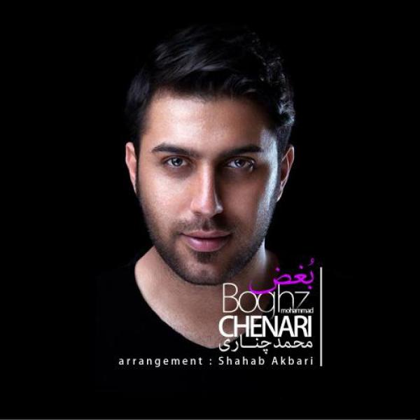 Mohammad Chenari Boghz
