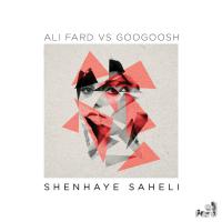 Googoosh Shenhaye Saheli (Ali fard Remix)