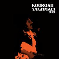 Kourosh Yaghmaei You Weren't Here