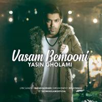 Yasin Gholami Vasam Bemooni