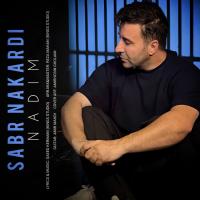 Nadim Sabr Nakardi