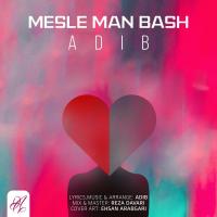 Adib Mesle Man Bash