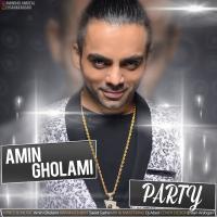 Amin Gholami Party