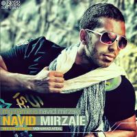 Navid Mirzaie Navid Mix
