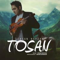 Ehsan Neyzan Tosan