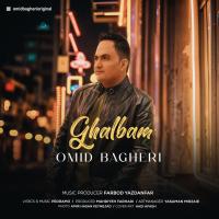 Omid Bagheri Ghalbam