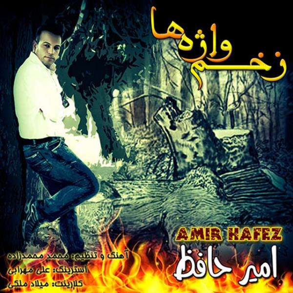Amir Hafez Zakhme Vajeha
