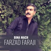 Farzad Faraji Bina Mach