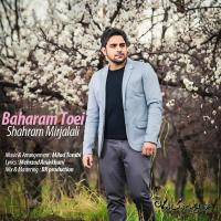 Shahram Mirjalali Baharam Toei