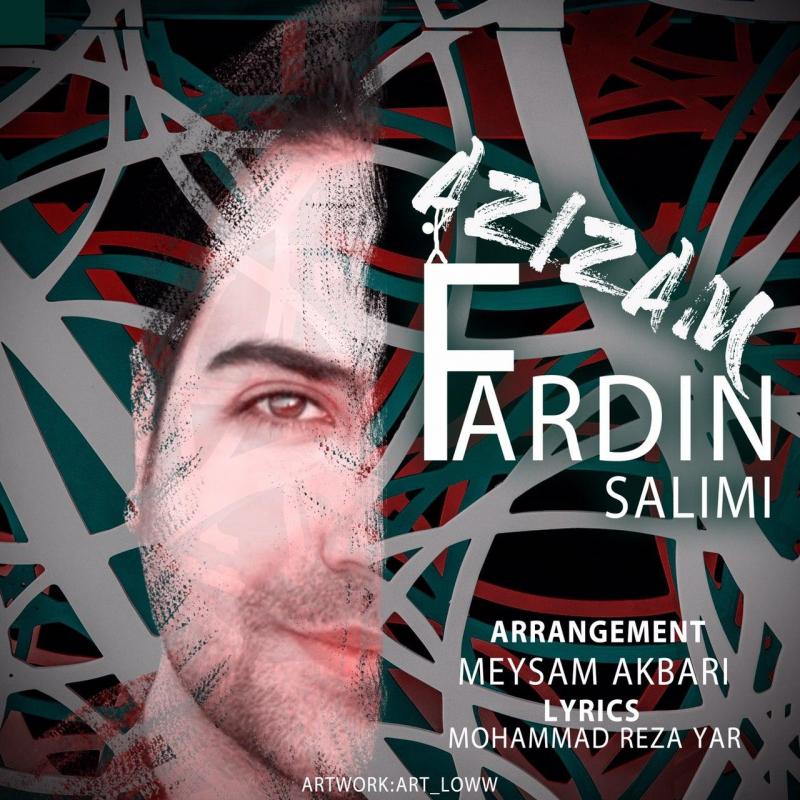 Fardin Salimi Azizam
