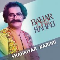 Shahryar Karimi Bahar Dar Bahar