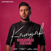 Mohammad Chenari Kamyab