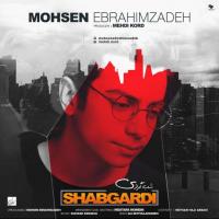 Mohsen Ebrahimzadeh Shabgardi