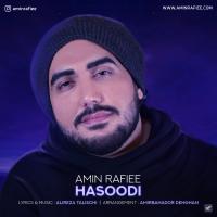 Amin Rafiee Hasoodi