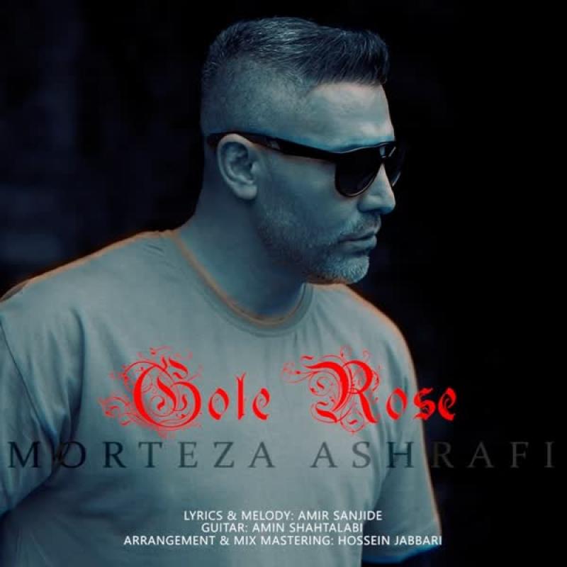 Morteza Ashrafi Gole Rose